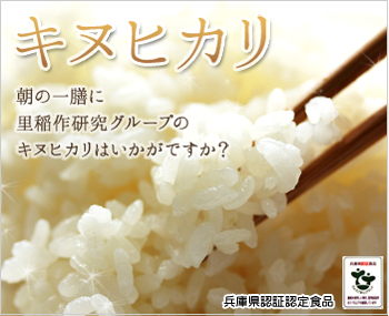 匠の逸品 特別栽培米 キヌヒカリ・玄米