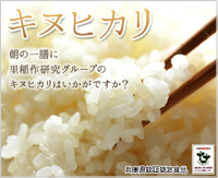 匠の逸品 特別栽培米 キヌヒカリ・玄米（減農薬米）
